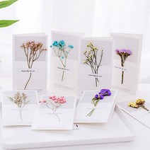 말린꽃카드/드라이플라워 카드/프리저브드플라워 카드, 블루꽃