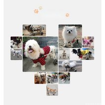 강아지 휠체어 뒷다리 재활훈련 2륜 고양이 보행기, XS 확대