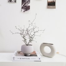 마오리 코로키아 소포라 인테리어 식물 토분 set, 코로키아+화이트 인테리어 화분