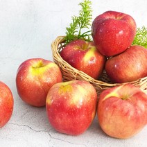[미식한가] 경북 햇 홍로 사과 가정용 10kg, 1박스, 경북 햇 홍로 사과 가정용 10kg 28-33과