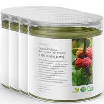 신서리티 유기농 꾸지뽕 가루, 4개, 100g