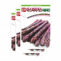 아시아종묘 자색아스파라거스씨앗 퍼플패션(40립x3)