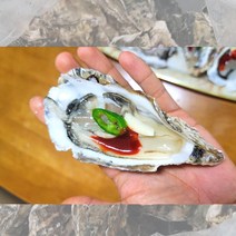 고흥굴 각굴 5kg 10kg 고흥 석화 산지직송 석굴, 하프셀(반깐굴/50미) 별도배송, 1개