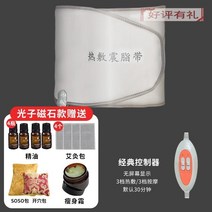 주열기 온열 찜질기 허리 복부 배 찜질기 진동 가열 벨트가있는 원적외선 가열 핫 압축 하 지방 제거 기계 지방 연소 지방 따뜻한 궁전 슬리밍, Photon Magnet 업그레이드  무료 2홀