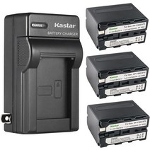 Kastar 3-Pack Battery and AC Wall Charger Replacement for Desview R5 5.5 inch Touchscreen On-Camera, 한개옵션0