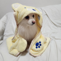 예보들 강아지 고양이 가운 타월, 블루