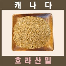 식이섬유 풍부한 호라산밀 고대곡물 단백질 필수 아미노산, 호라산밀 5kg(5키로)