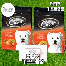 터터펫 시저 야채 칠면조 1kg 2개 터터펫기프트 증정 강아지 애견 애완견 말티즈 개 사료