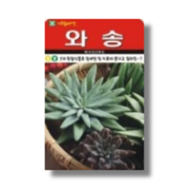아람종묘 와송 씨앗 5000립 [22년포장] 와송종자