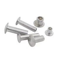 10/50pcs M2 M2.5 M3 M4 M5 M6 GB873 알루미늄 둥근 편평트러스 머리 반 중공 생크 리벳 직경 2-6mm 길이 3, 01 3mm_02 50pcs M2.5