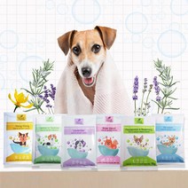 [네츄럴테라피]강아지 아로마 탄산솔트 입욕제 15g, 선택/일랑일랑
