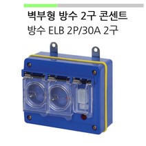 천우티이엠 CW100-1 2구 방수형 콘센트 방수 ELB 2P 30A 벽부형 분전반용, 1개