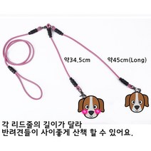 로뎀사/다견가정 V형(2마리용) 리드줄, 세트구매, 핑크