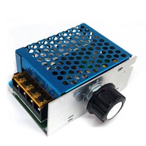 전압 조정기 4000W 모터 컨트롤러 온도 볼트 안정기 디밍 보호 쉘 조정 가능한 조광기, type1