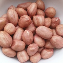 대양땅콩 백사 땅콩 5KG 1개