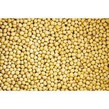 강원도 정선 청정지역 재배 햇메주콩(백태 ) 1kg