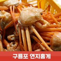 인기 있는 가성비연지홍게 인기 순위 TOP50