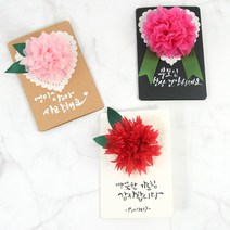 DIY 카네이션카드 만들기 스승의날 어버이날 만들기수업, 블랙, 빨강