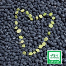 진안 산지직송 무농약 유기농 서리태 콩, 4kg