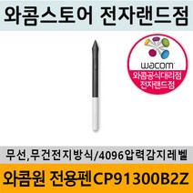 와콤 와콤원 DTC-133전용펜