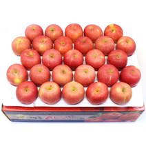 <루시.앤>저탄소 인증 부사 사과 2kg 3kg 5kg / 아삭하고 달콤한 겨울 간식 부사 사과에요^^, 중과, 2kg/8-10과” class=”wr-img”></a></div>
</p></div>
</p></div>
</p></div>
<div class=