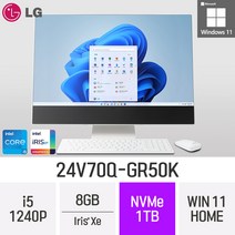 LG전자 24V70Q-GR50K 24인치 인텔 12세대 i5 Iris Xe Win11 Home 사무용 인강용 재택근무용 일체형 PC, 1TB, 8GB