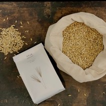 약방집손녀딸 보리차 미디엄로스팅 하루용 곡차2호 300g, 2개, 600g