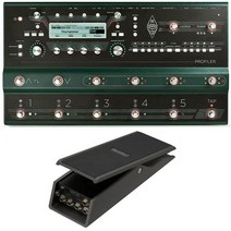 KEMPER PROFILER STAGE KORG XVP-20 기타 앰프, 옵션1