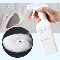 겨울철결로 창문틈 곰팡이제거 스프레이 호흡기건강 곰팡이제거제 베란다 결로현상 옥탑방 세정제 펜션, 곰팡이 제거제 2p