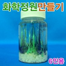 위dnemju_향앤미과학 화학 정원 만들기 6인용 실험 삼투압현상 관찰♥above, ♥above!!