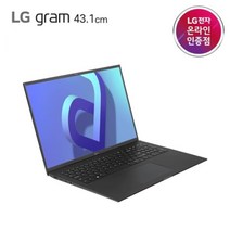 LG전자 2022 그램 17, 256GB, 17ZD90Q-GX5LK, 옵시디안 블랙, 코어i5, 16GB, Free DOS