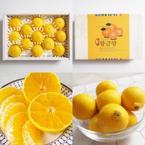 삼시세끼연구소 최상품 제주 제주도 황금향 3kg 5kg 가정용 선물세트, 4. 황금향 5kg(크기혼합)