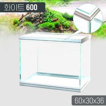 피쉬 화이트 수조 600(안전몰드)-열대어 구피 수족관어항/헬로아쿠아