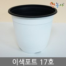 이색화분 흰색 17호 포토 용기 포트 모종 교육 화분