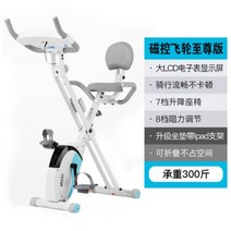 미니실내자전거 엑스바이크 실내 페달 바이크 사이클, 레이크 블루  8단 저항