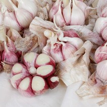 벌마늘 고흥 안동 통마늘 저장용 3kg 5kg, 벌마늘 5kg