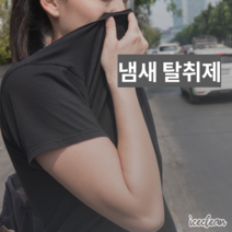 냄새탈취제 울트라디오더와 피톤치드의 포름알데히드제로 냄새제거제, 피톤치드 1 L, 1개