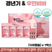 감마리놀렌산 회화나무열매 추출물 여성 갱년기 건망증 불면증 영양제 갱년기우먼비바, 1박스, 120캡슐