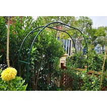 아치형 꽃꽂이 등나무꽂이 정원 월계화 스탠드 철선 연녹로 식물꽂이 야외 꽃문 정원 장식, 그린:2m 너비2.3m