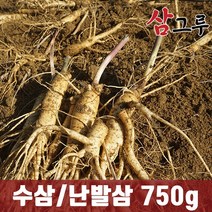 금산인삼 수삼 난발삼소 무료세척 1채 750g 18~22뿌리, 무료세척(약50g감량)