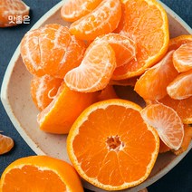 맛좋은 제주 감귤, 노지감귤 소과 5kg