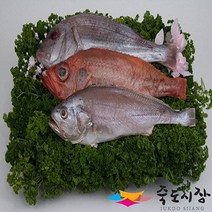 죽도시장 제수용생선 3종세트, 단품