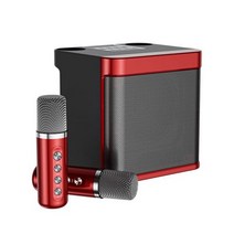 가정용 코인노래방 기계 휴대용 길거리공연 찬양 반주기 부스 100w 전문 노래방 스피커 듀얼 마이크 블루투스 호환 스피커 내장 사운드 카드, 5-빨간색