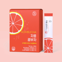 힐스랩 콤부차 자몽 5g 15개입 분말스틱, 15포
