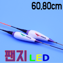 자자손손전자찌 팬지 민물전자찌 LED전자찌, 80cm - 4g, 5LED, 레드