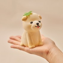 멍냥이 컬러링 DIY 키트, 푸들