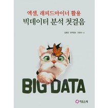 엑셀 래피드마이너 활용 빅데이터 분석 첫걸음, 카오스북