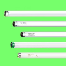 32W 형광등 오스람 필립스 포커스 번개표 우리조명 TLD32RS FHF32SS FL32 EX-D, 1) 포커스-주광색- 5개