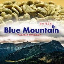 [비아트레] 카메룬 블루마운틴 오쿠 허니프로세싱 수확 생두 1kg, 1개, 1L