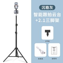 팔로우캠 360도 회전 전자동 스마트폰 안면인식 디더링 동영상 촬영 및 카메라 촬영기, 옵션8